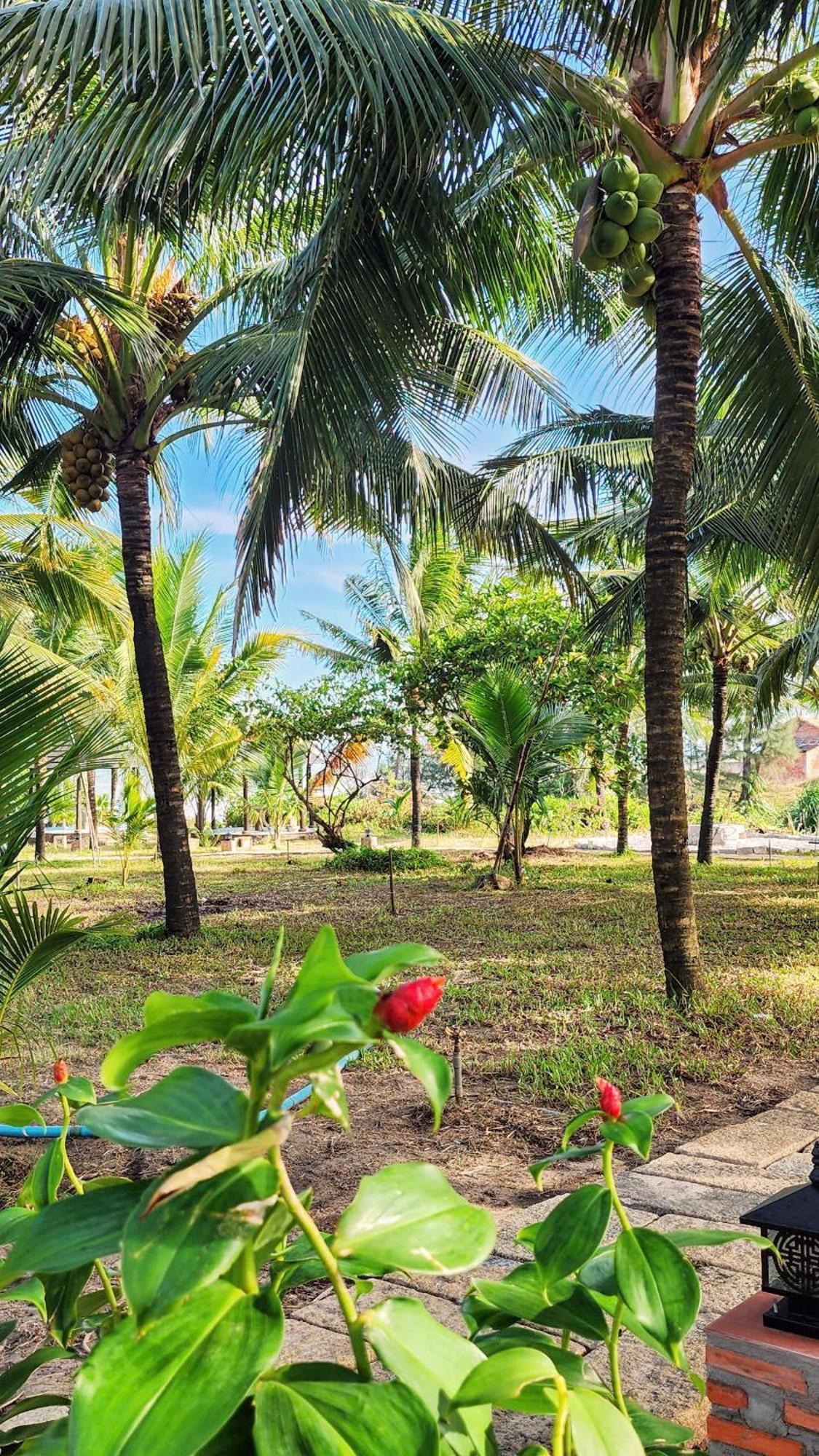 Zen Resort - Villa Beach- Garden Xom Tram Luaran gambar